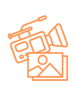 Content collection and field documentation